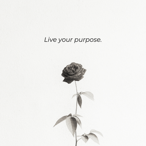 purpose is calling