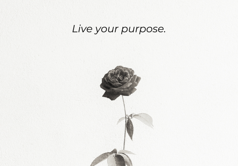 purpose is calling